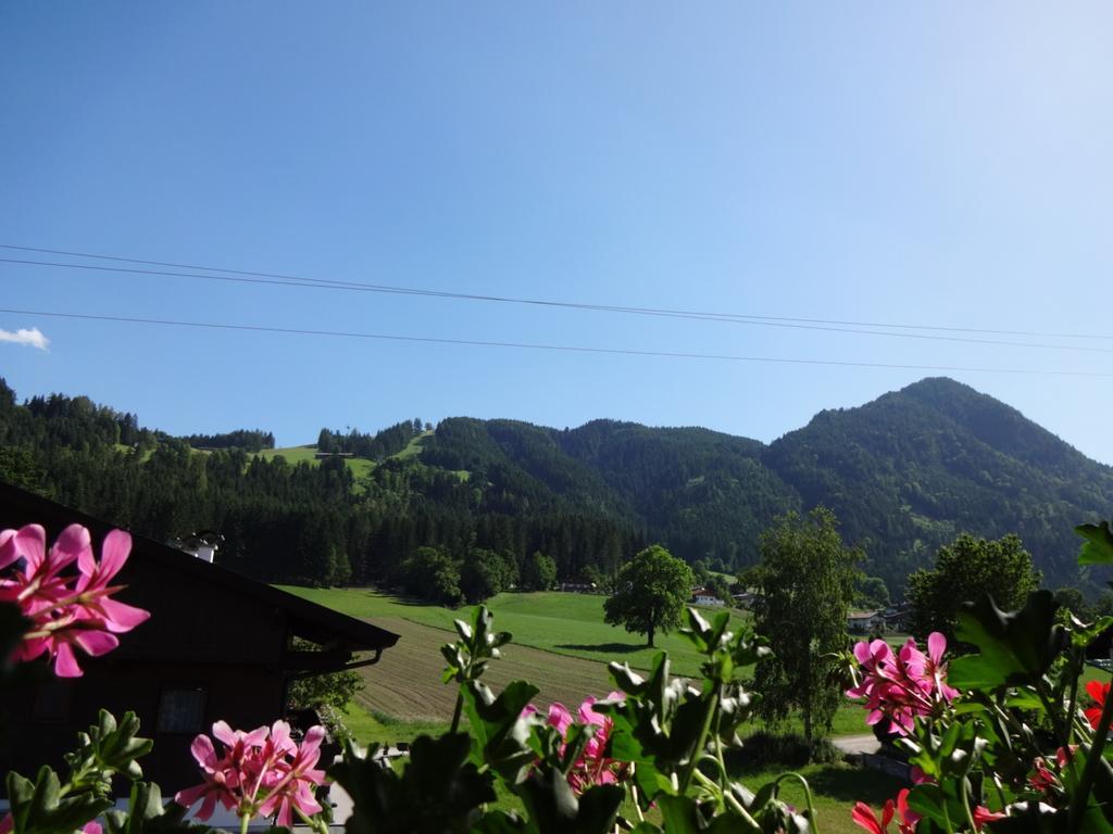 Haus Sylvia Apartment Reith im Alpbachtal Bilik gambar